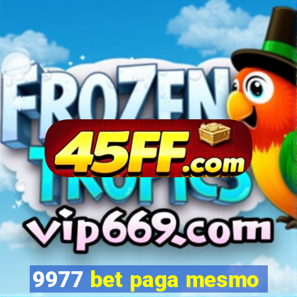 9977 bet paga mesmo